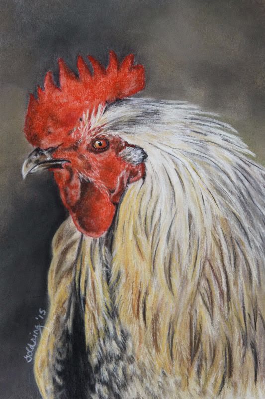 Rooster by Debbie Goldring