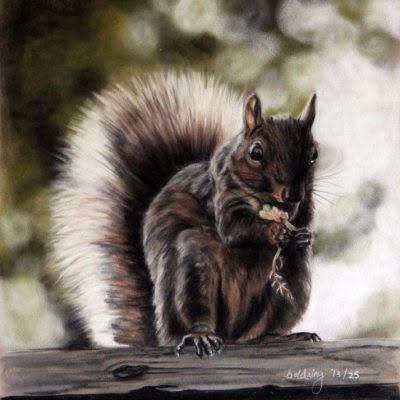 Squirrel by Debbie Goldring