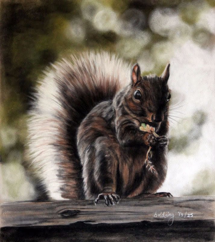 Squirrel by Debbie Goldring