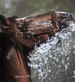 Summer Shower by Debbie Goldring