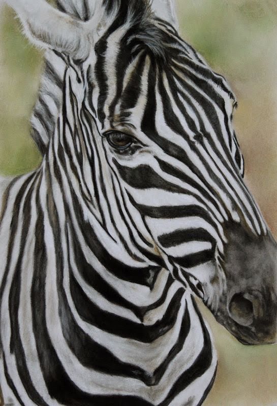 Zebra by Debbie Goldring
