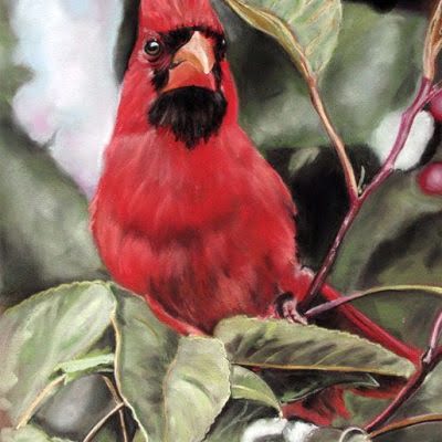 Cardinal by Debbie Goldring