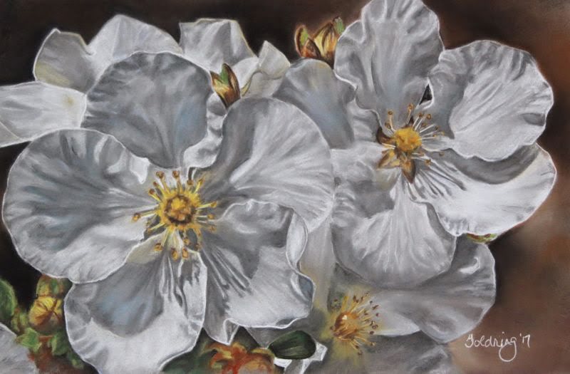 White Flowers by Debbie Goldring